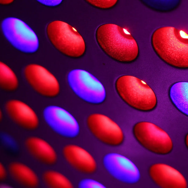 An LED spectrum grow light features multiple bulbs, each emitting red and blue light, in a single panel.