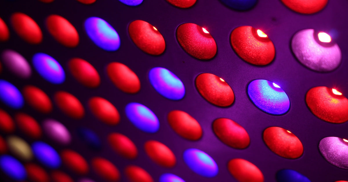 A full-spectrum LED grow light features many bulbs that emit bright red, light blue, or dark blue light.