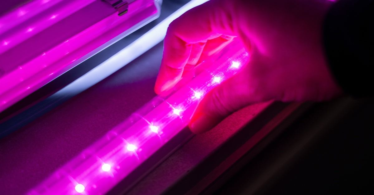 A hand reaches over and adjusts an LED grow light bulb. The bulb emits pink, sparkling light in a dark room.