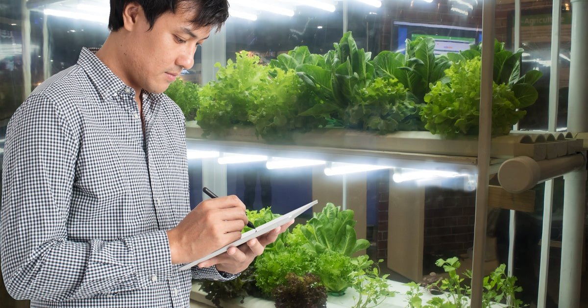 A man looks at his tablet device and uses a stylus while standing in his indoor garden. Lights shine on his plants.