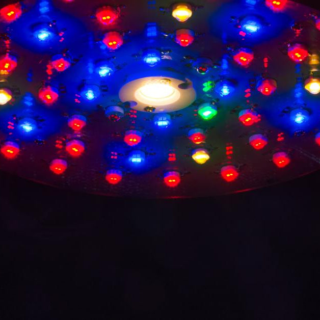 An full-spectrum LED grow light shines in a dark area. It features red, green, blue and yellow lights.