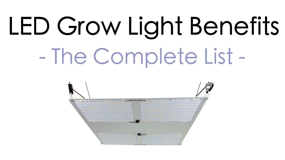 The Complete List of LED Grow Light Benefits
