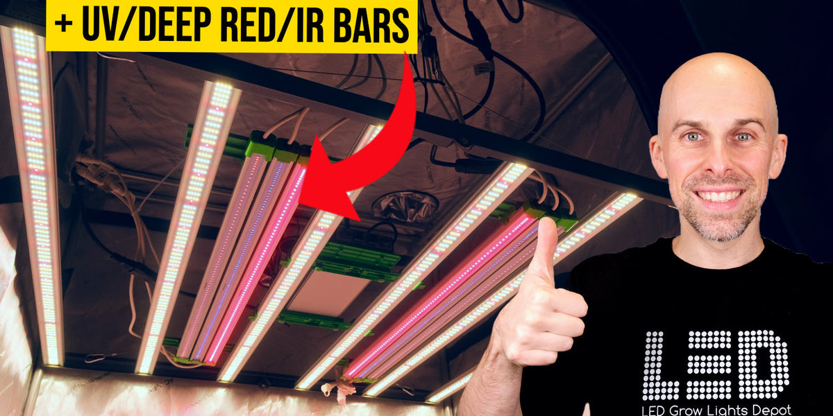 MARS_HYDRO_FC_6500_EVO_2024_RE