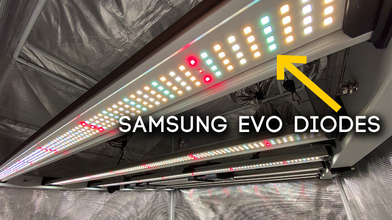 Mammoth Lighting Mint White Series 6 Bar 680W Review — LED Grow