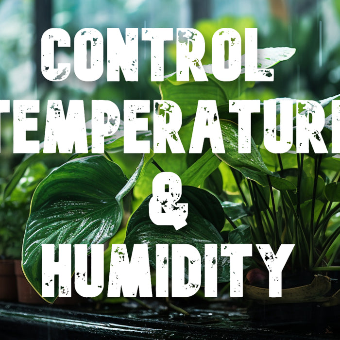 Mastering Temperature and Humidity Control in Your Indoor Grow Space