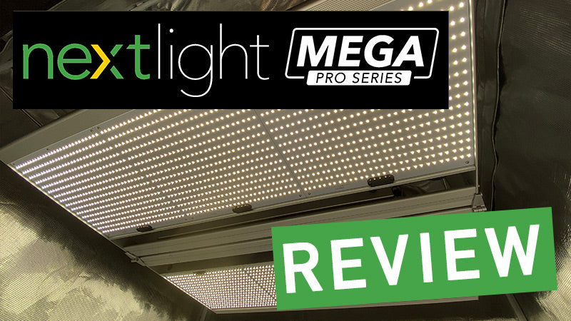 NextLight Mega Pro Review