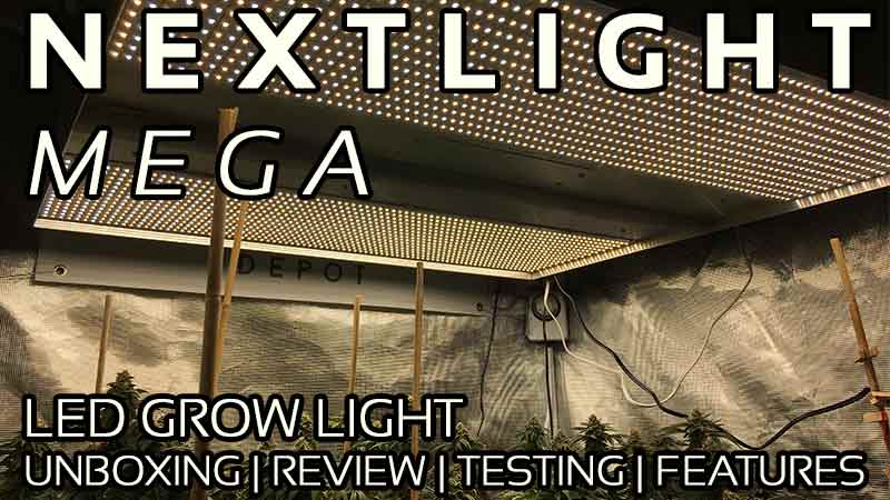 NextLight Mega Review