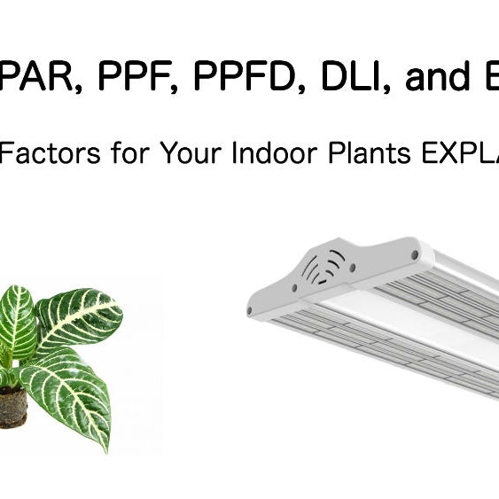 What Is PAR, PPF, PPFD, DLI, and Efficacy? Light Factors for Your Indoor Plants EXPLAINED!