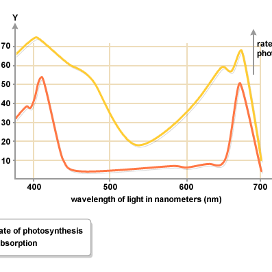 T5 LED vs T5 Fluorescent 8-tube fixture Cost Comparison (+Graphs)
