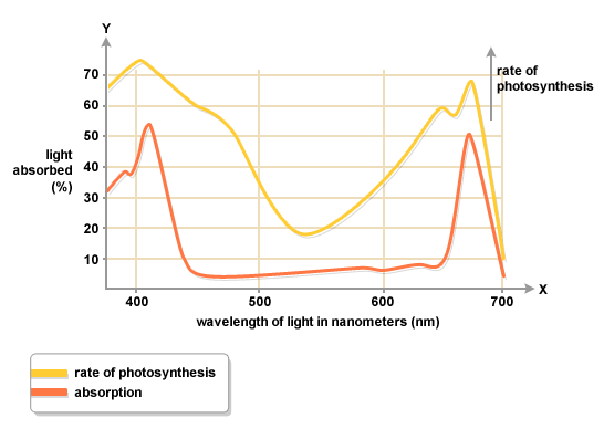 T5 LED vs T5 Fluorescent 8-tube fixture Cost Comparison (+Graphs)