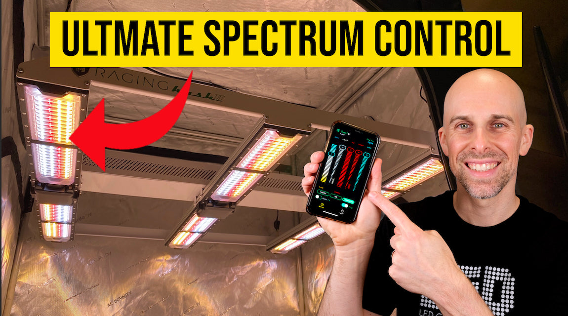 Raging Kush II 70° LED Grow Light Review: Unmatched Spectrum