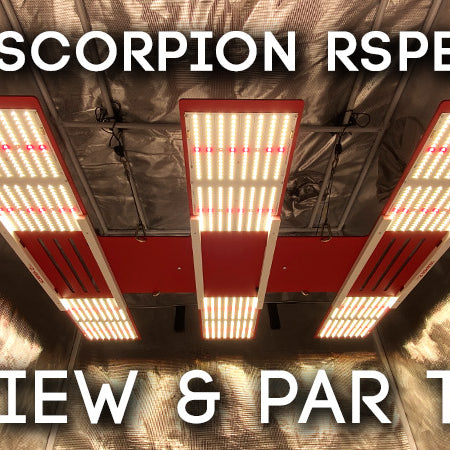 HLG Scorpion Rspec FR Review