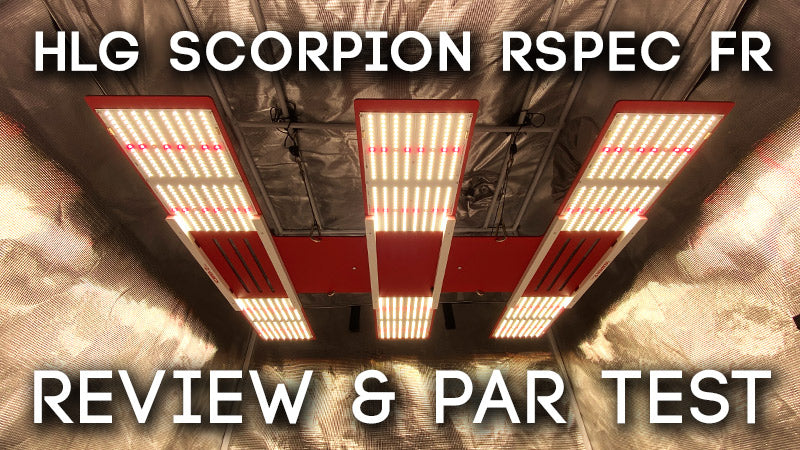 HLG Scorpion Rspec FR Review