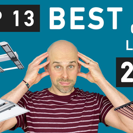 Top 13 BEST LED Grow Lights 2021