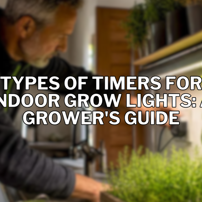 Types of Timers for Indoor Grow Lights: A Grower's Guide
