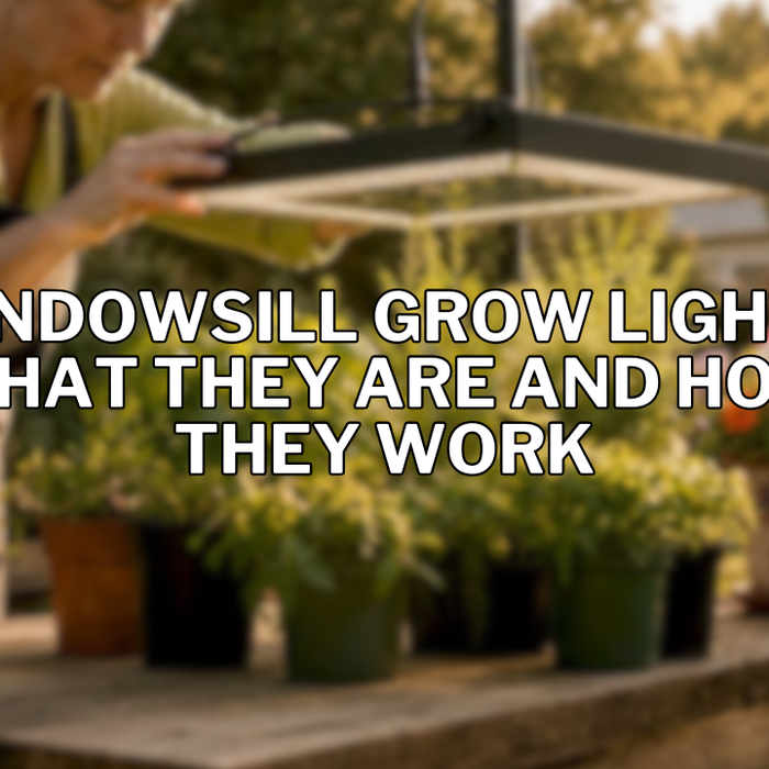 Windowsill Grow Lights: What They Are and How They Work