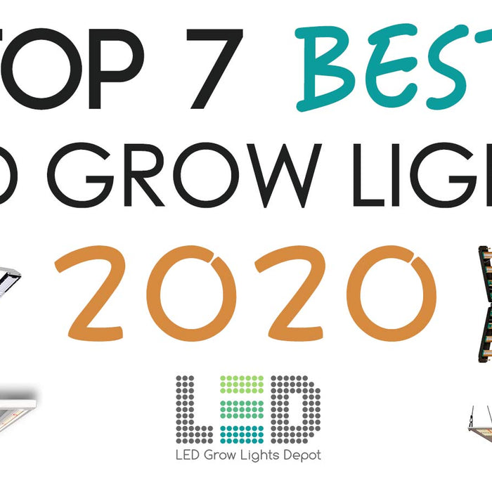 Top 7 Best LED Grow Lights 2020