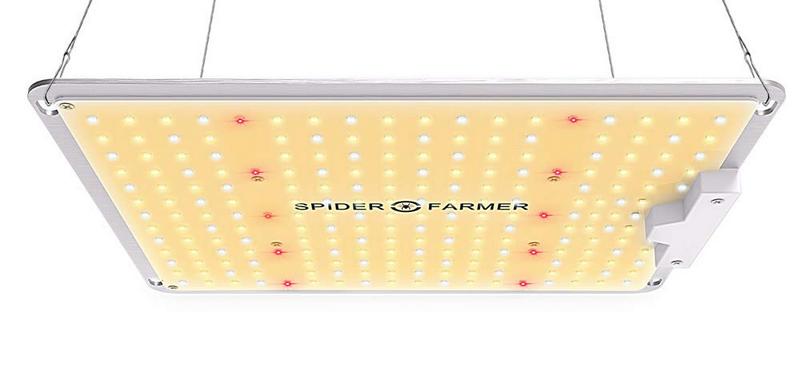 Spider Farmer LED Grow Lights
