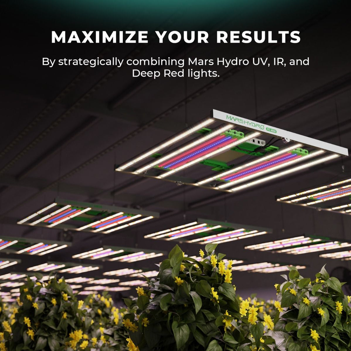 Mars Hydro Adlite IR30 IR Supplemental LED Grow Light Bar (2-pack ...
