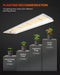Spider Farmer® SF300 33W Vegetable Grow Light (2-pack)  - LED Grow Lights Depot