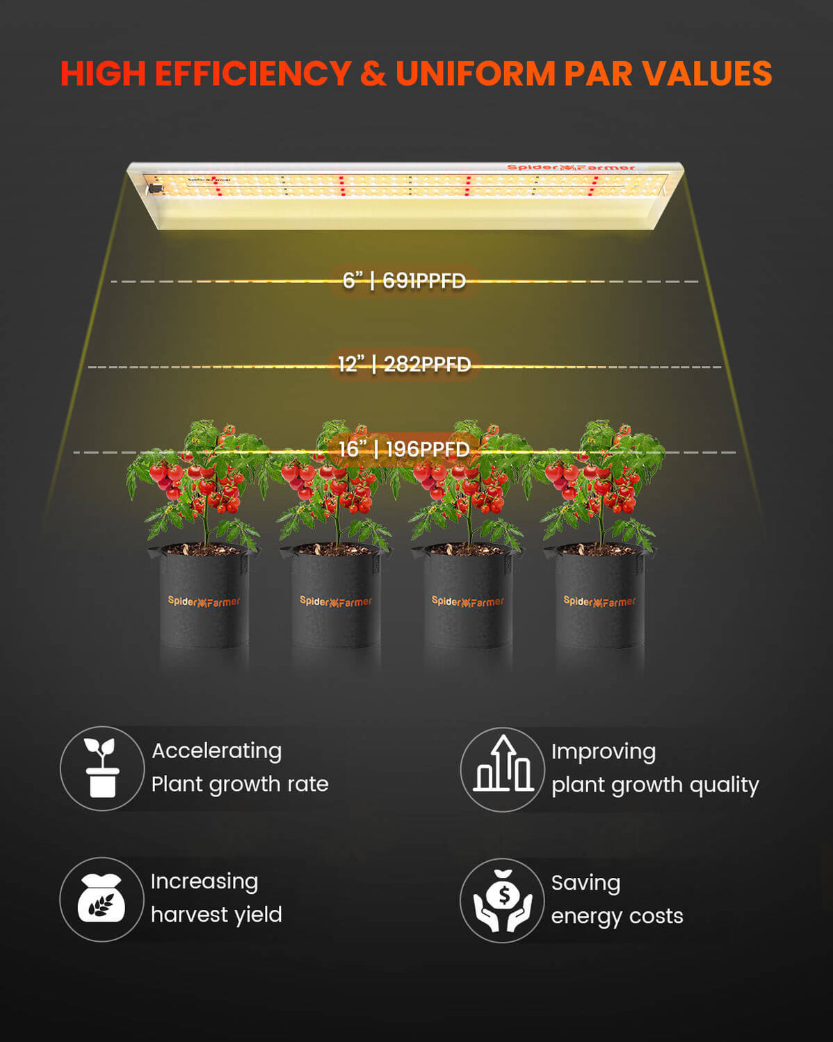 Spider Farmer SF300 33W Vegetable Grow Light (2-pack) — LED Grow Lights ...
