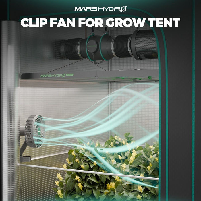 grow tent complete setup MARS HYDRO 2x2 Grow Tent Kit for New Grower TS600 LED Grow Light Full Spectrum Indoor Grow Kit 24"x24"x55" Hydroponics Grow Tent
