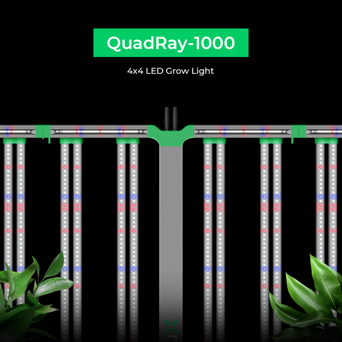 CeresLux QuadRay 1000W LED Grow Light 3.0 µmol/J Full Spectrum Commercial - LED Grow Lights Depot