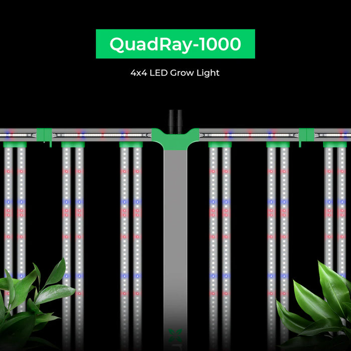 CeresLux QuadRay 1000W LED Grow Light 3.0 µmol/J Full Spectrum Commercial - LED Grow Lights Depot