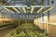 ChilLED Tech Growcraft X3 Duo – 1000W | COMING SOON!  - LED Grow Lights Depot