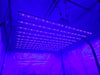 Grow-It-LED Pulsar 1000W UV to IR LED Grow Light  - LED Grow Lights Depot