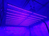 Grow-It-LED Pulsar 1000W UV to IR LED Grow Light  - LED Grow Lights Depot