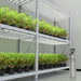 Mars Hydro FC1000 Samsung LM301H EVO 1000W  - LED Grow Lights Depot