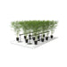 GrowPros 8′ 250W Under Canopy Grow Light (4 lights)  - LED Grow Lights Depot