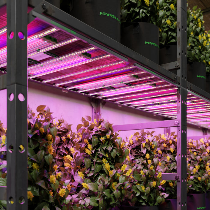 Mars Hydro Adlite UV55 + IR30 Supplemental LED Grow Light Bars Combo| - LED Grow Lights Depot
