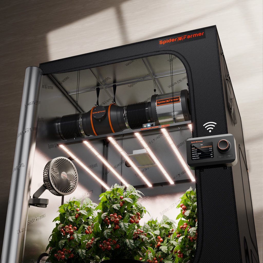 automated grow tent Spider Farmer G8600 Complete Kit | 800W Full Spectrum LED | 6″ Ventilation System | 6” Clip Fan | 5’x5’x6.5′ Grow Tent Eyewear Frame Color:Leonard W/Pink Mirror + Yellow Low Light depending on your grow 🚛 Ferienprogramm bei Firma Power Distribution