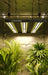 ChilLED Tech Growcraft X3 – 330W | COMING SOON!  - LED Grow Lights Depot