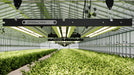 ChilLED Tech Growcraft X3 – 330W | COMING SOON!  - LED Grow Lights Depot