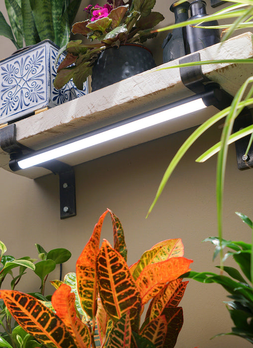 Soltech Grove™ LED Grow Light - LED Grow Lights Depot