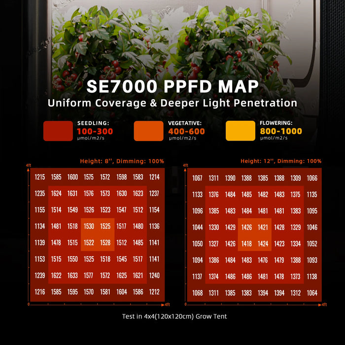5x5 grow tent kit Spider Farmer Smart Hydroponic DWC 5x5 Grow Tent Kit