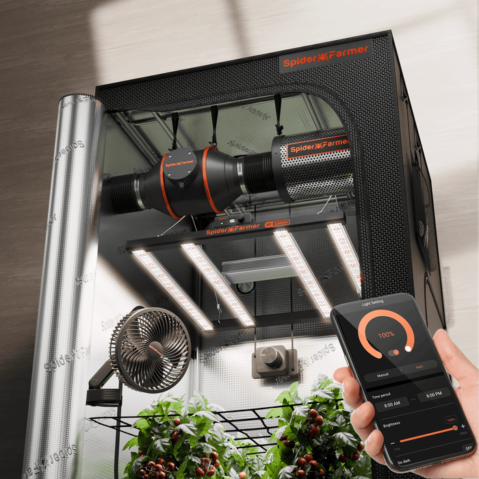 Spider Farmer 3’x3′x6′ Complete Grow Tent Kit | G3000 Full Spectrum LED Grow Light | 6” Clip Fan