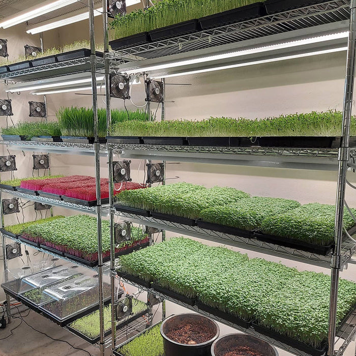 t5 plant grow lights Active Grow Integrated Strip T5 4FT LED Grow Light (54W Eqv.) – Sun Wh — LED Grow Lights Depot