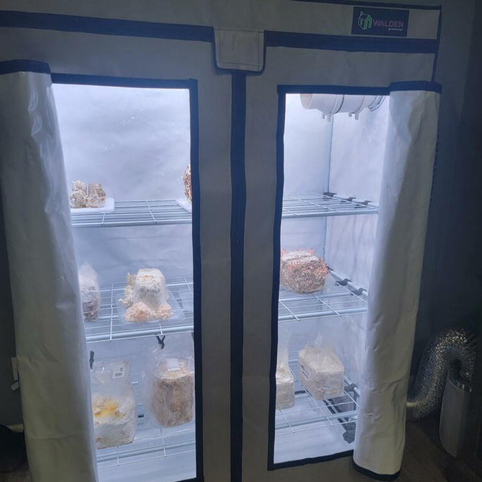 mushroom growing tents Mushroom Fruiting & Incubation 3-Tier Walden White LED Grow Tent Kit