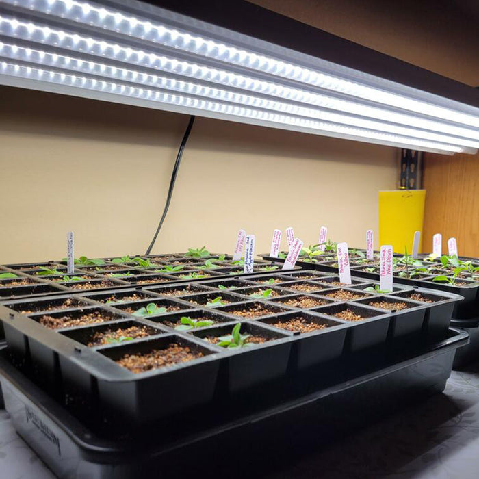 fluorescent grow lights for indoor plants Active Grow T5 HO 2.0 4FT 4 Lamp LED Grow Light (216W Eqv.) – Sun Whit — LED Grow Lights Depot