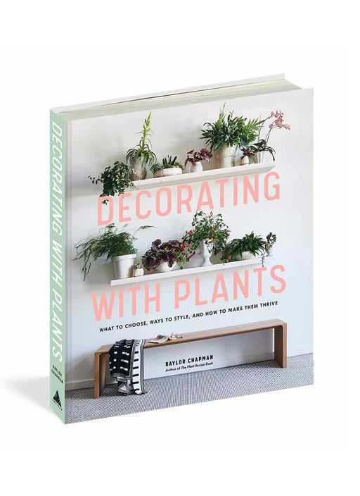 Soltech Decorating with Plants - What to Choose, Ways to Style, and How to Make Them Thrive - LED Grow Lights Depot