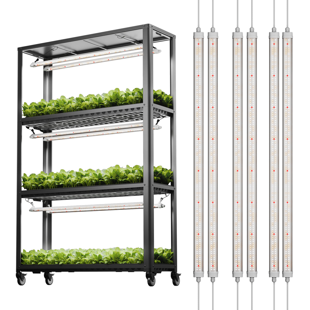 Spider Farmer Glow80 with Grow Shelves and Plant Trays — LED Grow