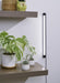 Soltech Grove™ LED Grow Light - LED Grow Lights Depot