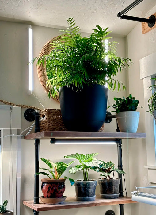 Soltech Grove Double Bundle - LED Grow Lights Depot