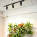Soltech Highland™ - Light Only - LED Grow Lights Depot