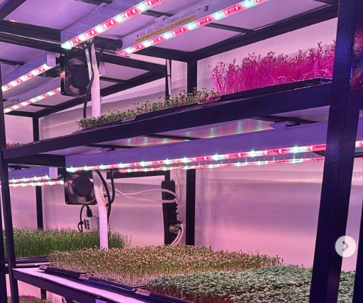 Verjure™ Lighting Arize Lynk2 4ft LED Bar Light — LED Grow Lights Verjure™ Lighting Arize Lynk2 4ft LED Bar Light — LED Grow Lights