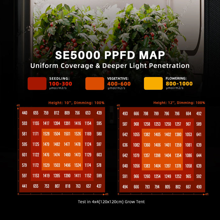 grow tent light height Spider Farmer 4'x4'x6.5′ Complete Grow Tent Kit